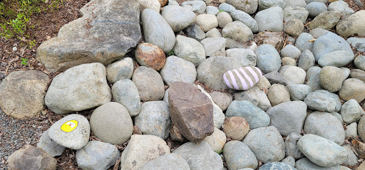 Park «Viewpoint Park», reviews and photos, 134th & NE 24th Street, Bellevue, WA 98005, USA