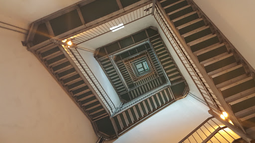 Ski Resort «High Point Cross Country Ski Center», reviews and photos, 1480 NJ-23, Sussex, NJ 07461, USA