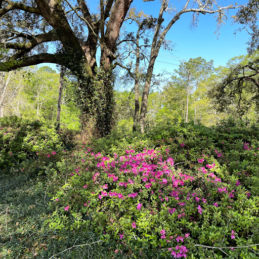 Park «Mims Park Athletics», reviews and photos, 5400 Grishilde Dr, Mobile, AL 36633, USA