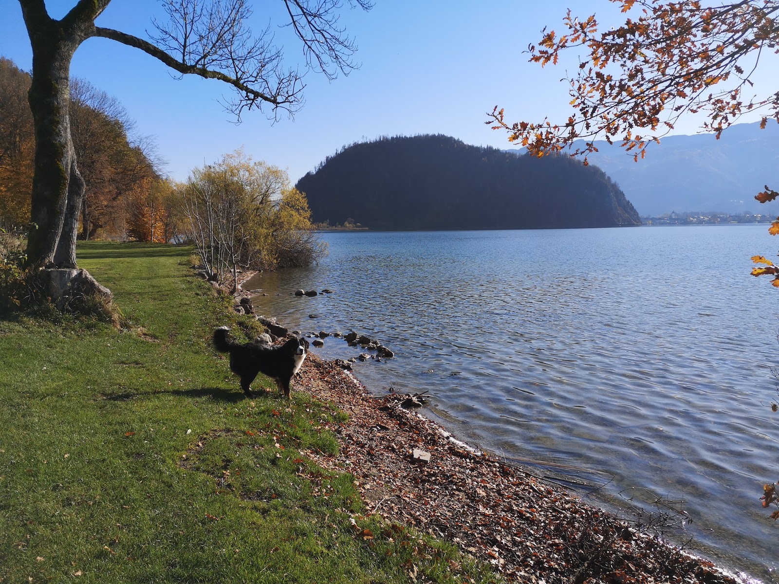 Appesbach Strand photo #8