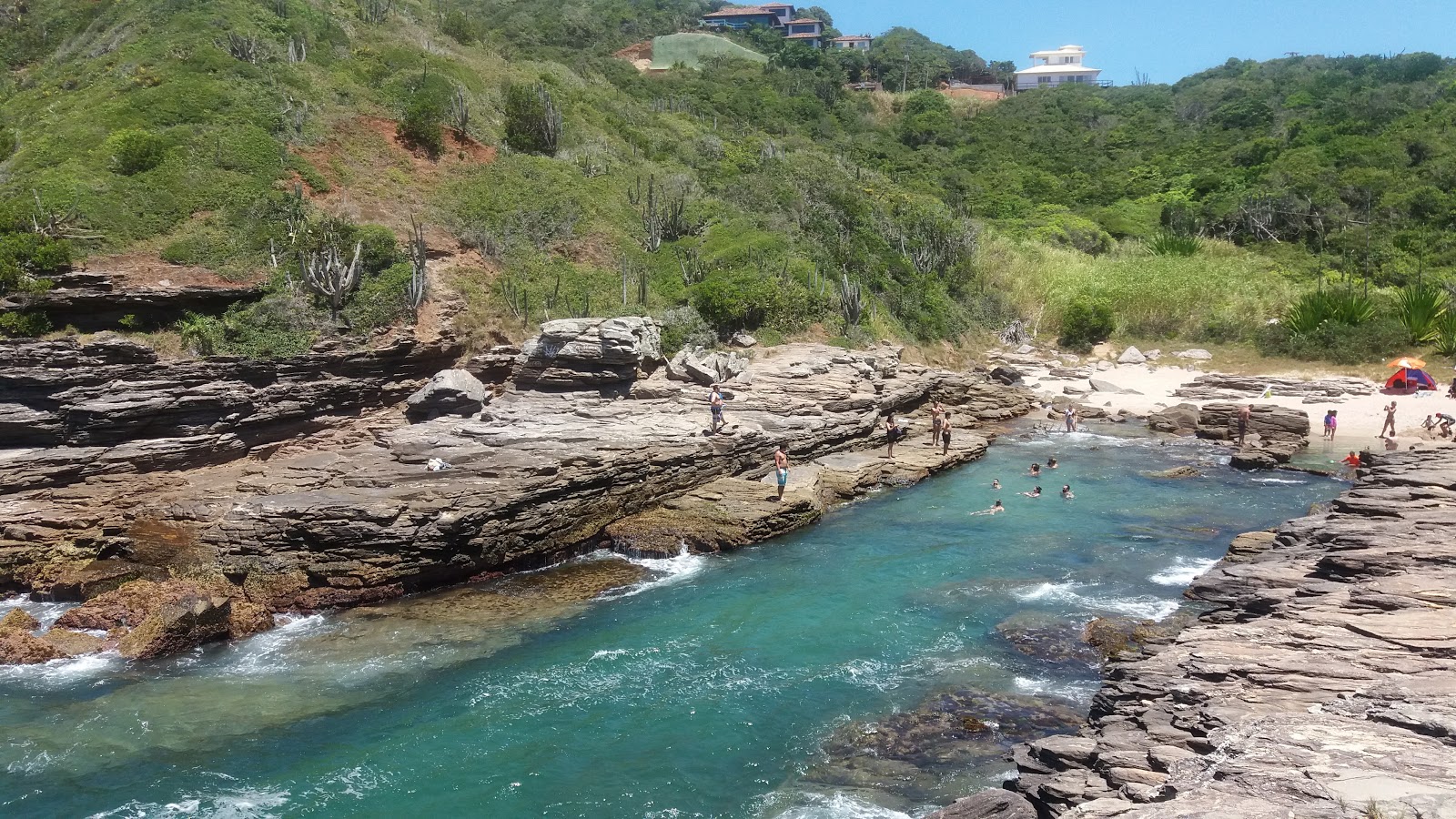 Praia da Foca的照片 具有非常干净级别的清洁度