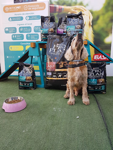 Comentarii opinii despre Betho Pet