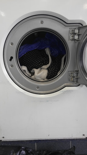 Laundromat «Sudsville Laundry», reviews and photos, 2420 York Rd, Lutherville-Timonium, MD 21093, USA