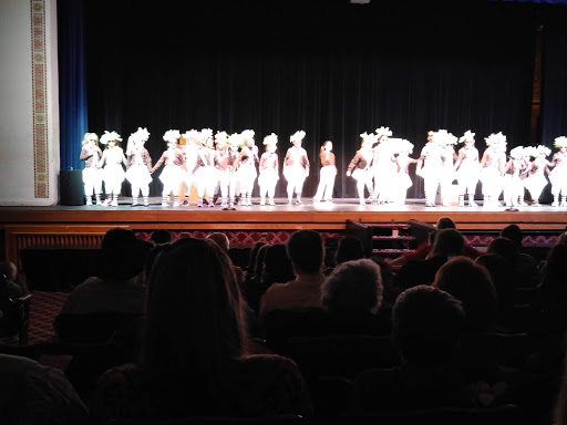 Performing Arts Theater «Cutting Hall Performing Arts Center», reviews and photos, 150 E Wood St, Palatine, IL 60067, USA