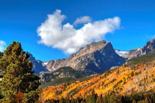 Campground «Estes Park KOA», reviews and photos