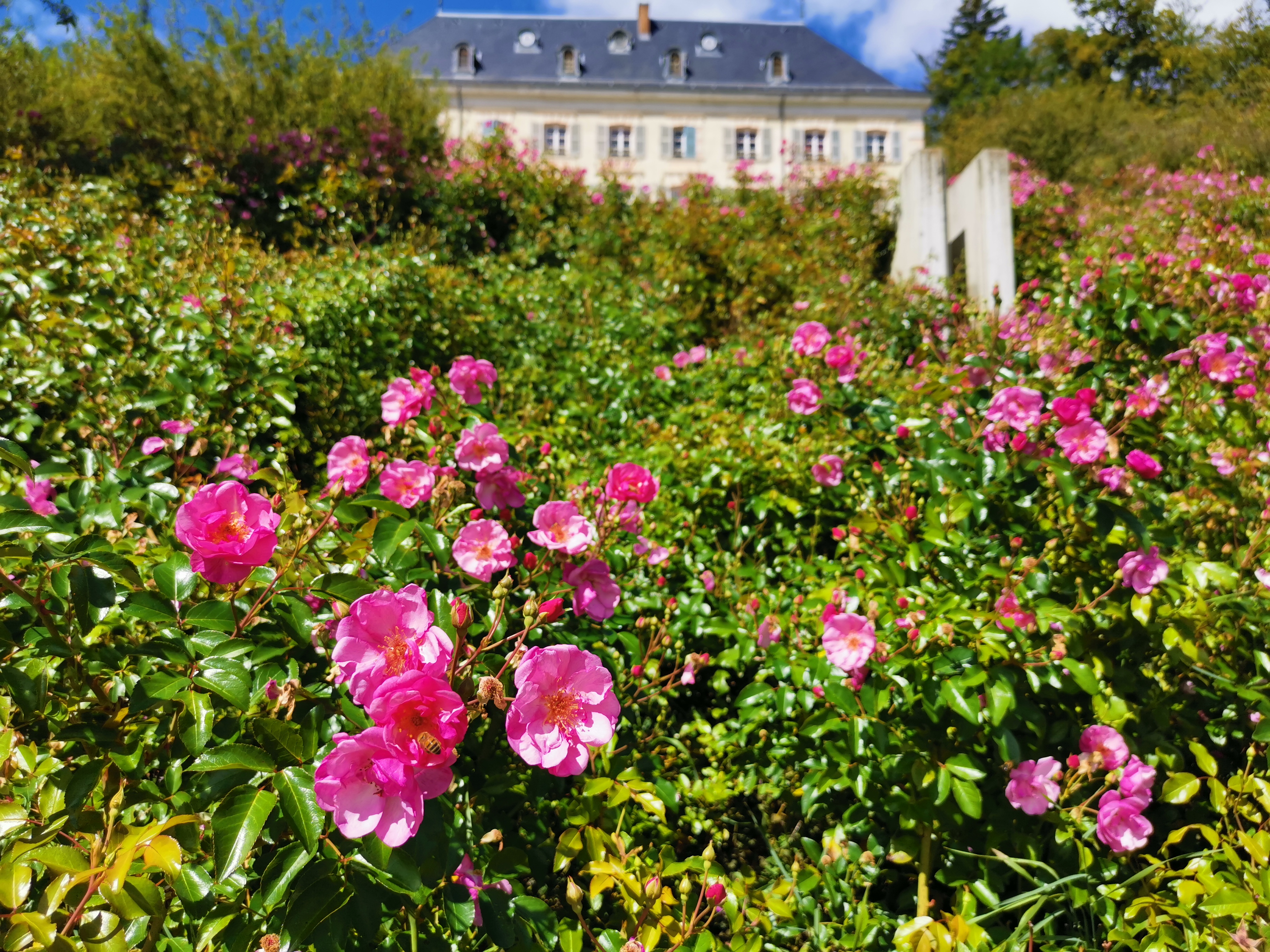 Photo n° 20 de l'avis de Hans.a fait le 31/08/2020 à 17:36