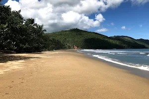 Playa El Valle image