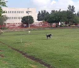 Las Canchas de la Villa photo