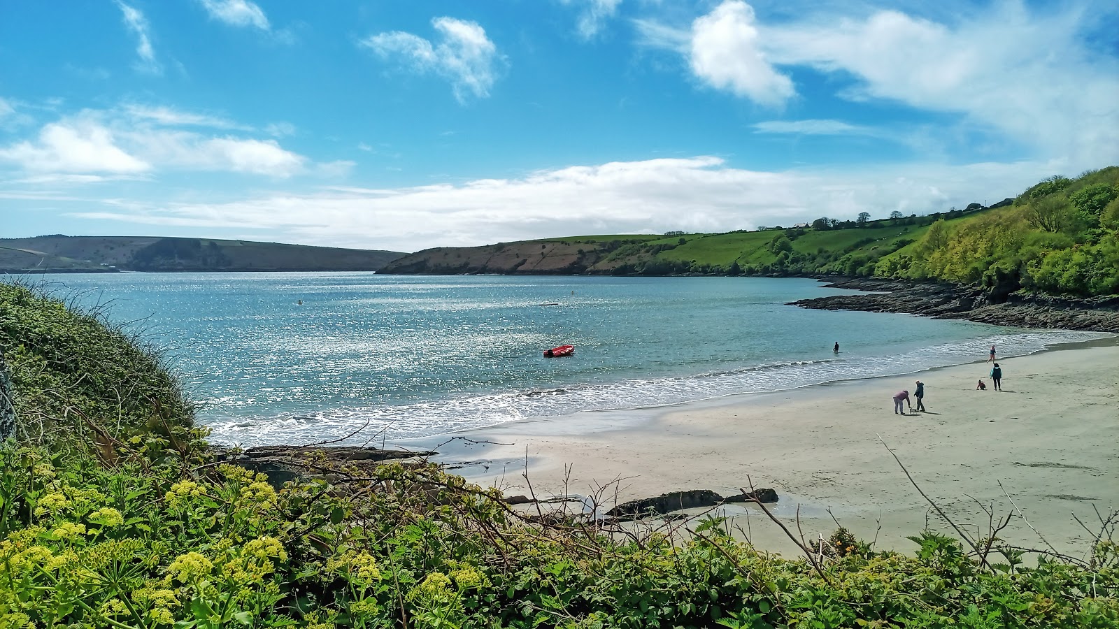 Dock Plajı (Kinsale Plajı)'in fotoğrafı vahşi alan