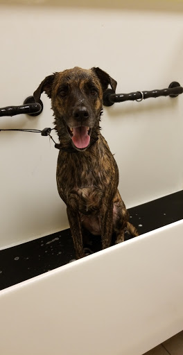 Pet Store «Quality Pet Market», reviews and photos, 1408 Dale Mabry Hwy, Lutz, FL 33548, USA