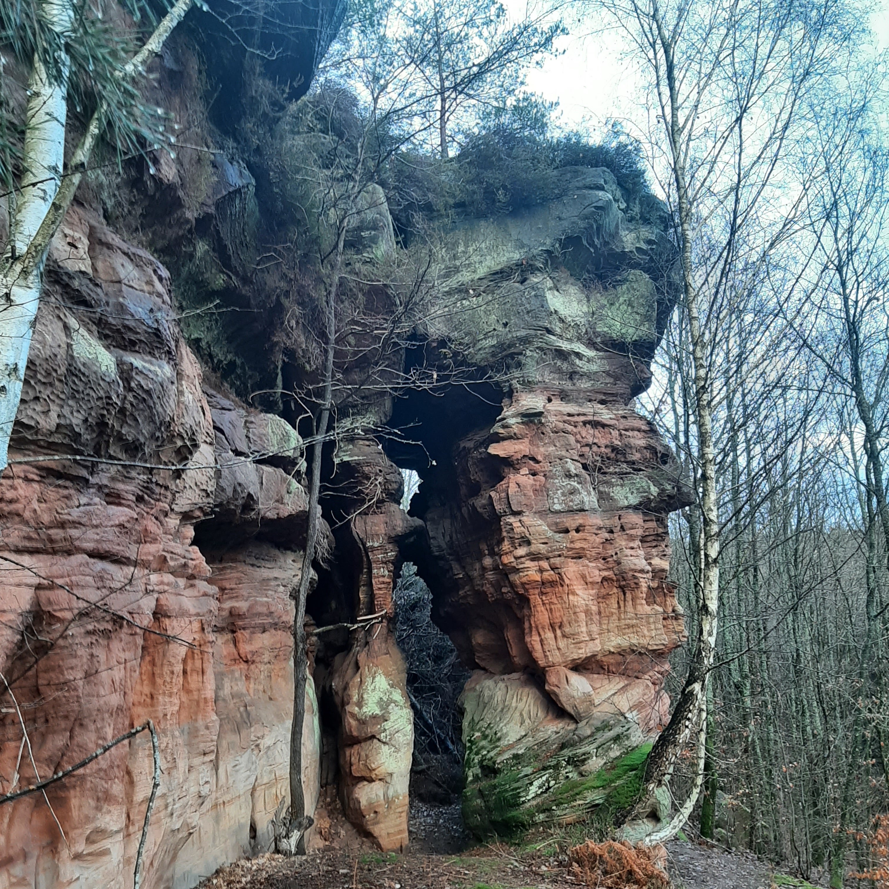 Photo n° 4 de l'avis de Hermeticum.u fait le 13/12/2023 à 17:55