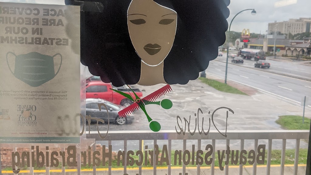 Divine Grace African Hair Braiding Salon Orlando FL 32839 Services 