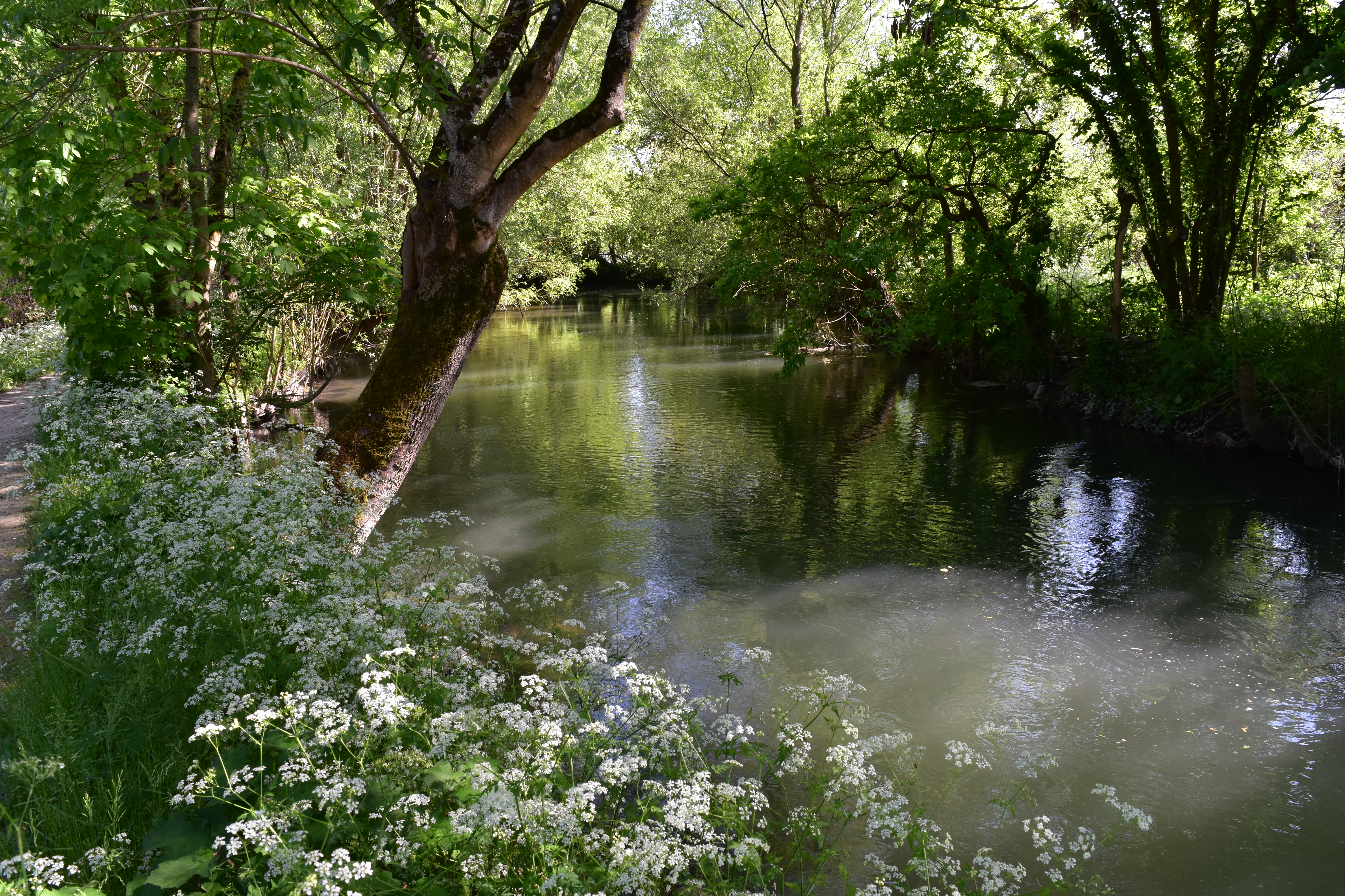 Photo n° 2 de l'avis de Sylvain.h fait le 04/05/2018 à 18:43