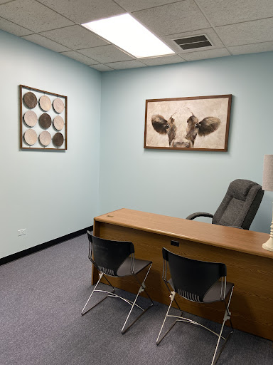 Berrybrook Crisis Resolution DUI Treatment Services DUI Evaluation DUI Classes Tinley Park