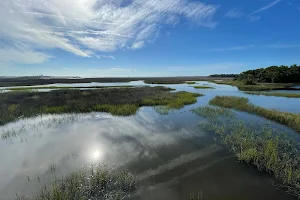Theodore Roosevelt Area at Timucuan Preserve image