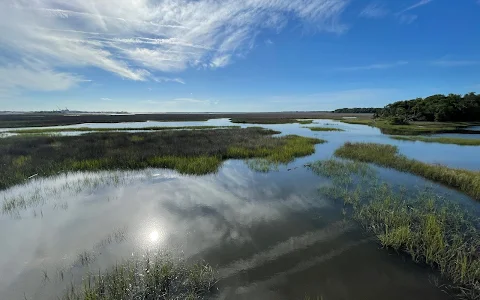 Theodore Roosevelt Area at Timucuan Preserve image