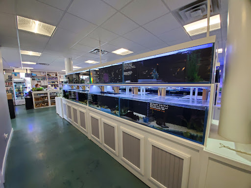 Southern Aquatics Local Fish Store