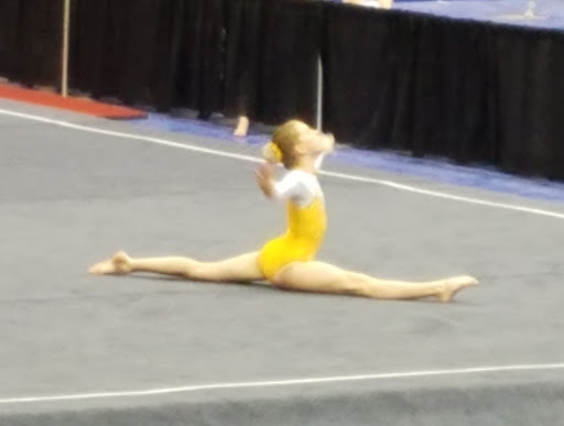 Stadium «Kellogg Arena», reviews and photos, 36 W Hamblin Ave, Battle Creek, MI 49017, USA