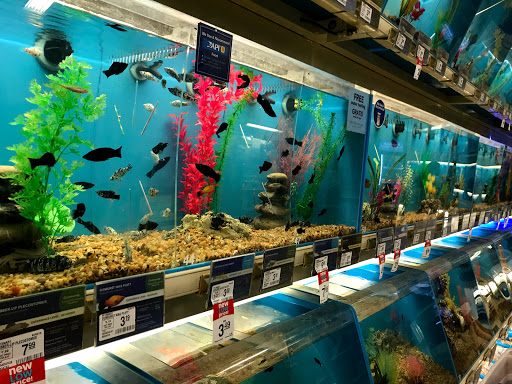 Pet Supply Store «PetSmart», reviews and photos, 288 12th Ave, Hanford, CA 93230, USA