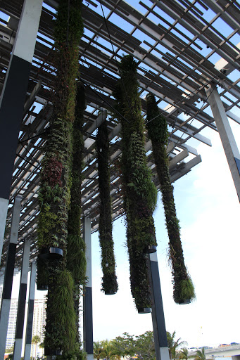 Park «Museum Park», reviews and photos, 1075 Biscayne Blvd, Miami, FL 33132, USA