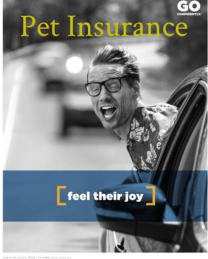 Insurance Agency «Best California Insurance», reviews and photos