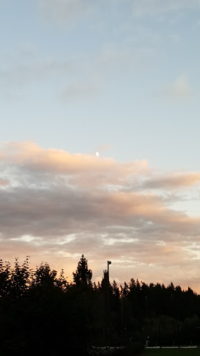 Golf Course «Bellevue Golf Course», reviews and photos, 5500 140th Ave NE, Bellevue, WA 98005, USA