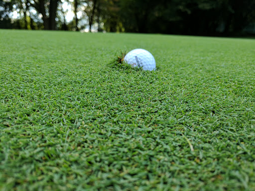 Golf Course «Island Lake Golf and Training Center», reviews and photos, 1000 Red Fox Rd, Shoreview, MN 55126, USA