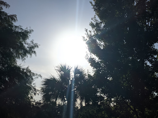 Park «Phelps Park», reviews and photos, Phelps Ave, Winter Park, FL 32789, USA