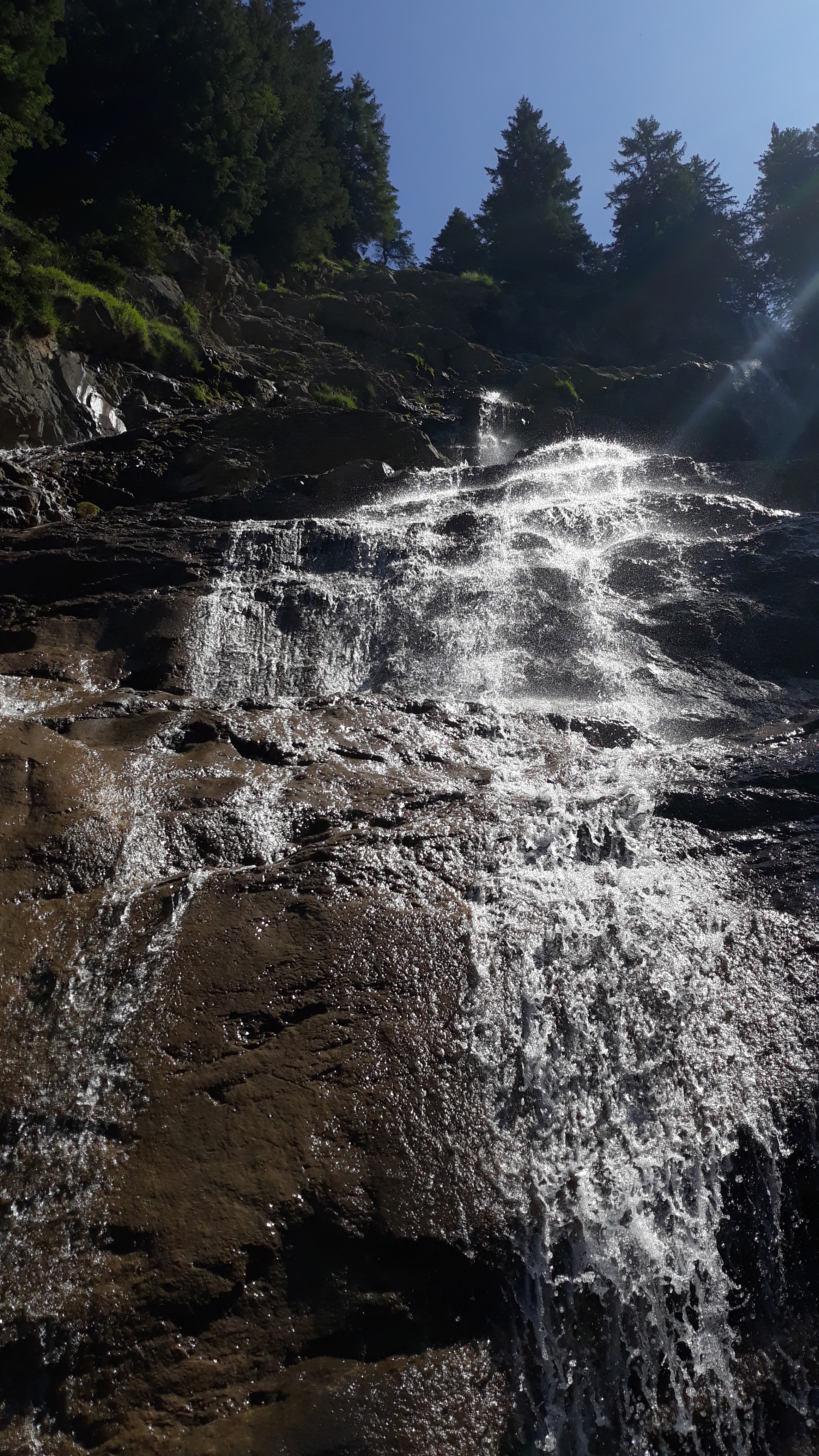 Photo n° 1 de l'avis de YANN.A fait le 04/08/2019 à 11:38