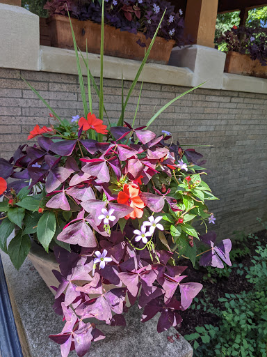 Cultural Center «Minnetrista», reviews and photos, 1200 N Minnetrista Pkwy, Muncie, IN 47303, USA