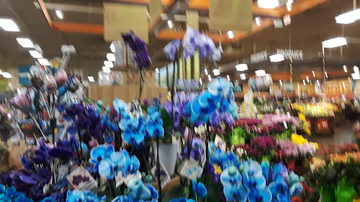 Grocery Store «Fred Meyer», reviews and photos, 2500 Santiam Hwy SE, Albany, OR 97322, USA