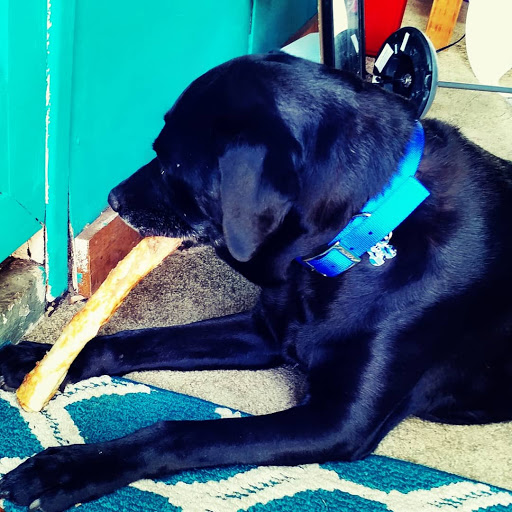 Pet Supply Store «Lemos Feed & Pet Supply», reviews and photos, 120 Traffic Way, Arroyo Grande, CA 93420, USA