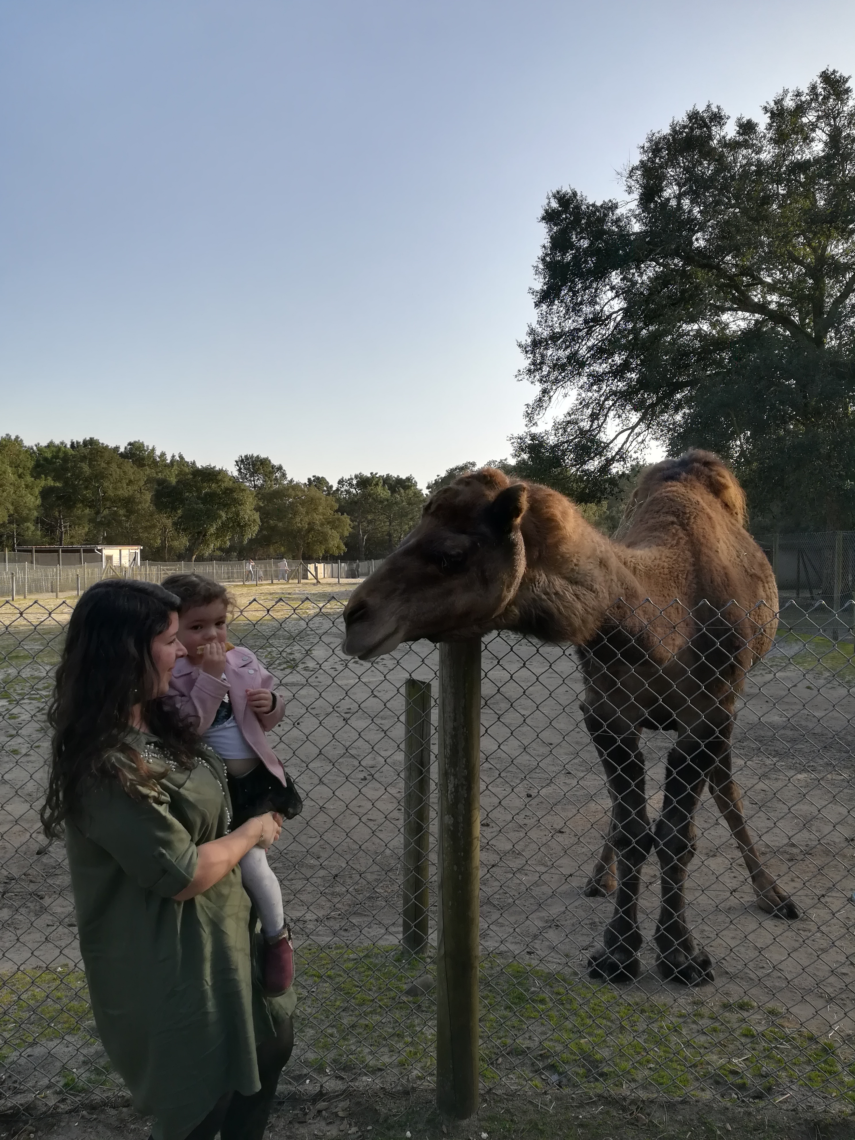 Photo n° 4 de l'avis de Sarah.h fait le 21/02/2019 à 17:10