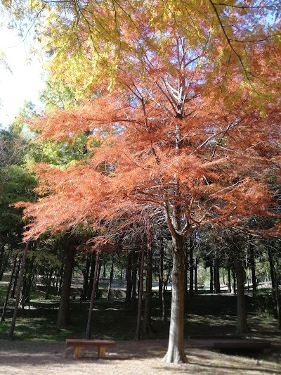 稲美中央公園駐車場