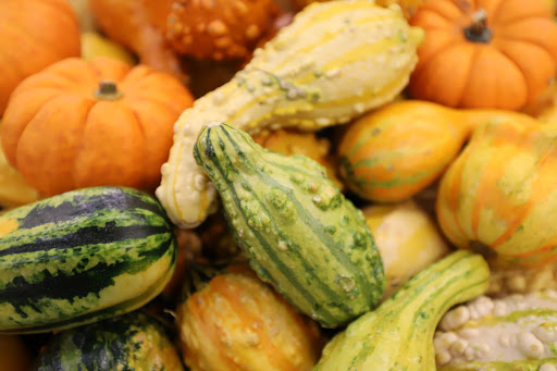 Grocery Store «Food Lion», reviews and photos, 8741 Piney Orchard Pkwy, Odenton, MD 21113, USA