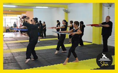Choy Lay Fut Kung Fu Mendoza - Shen School - Morón 216, M5500 Ciudad, Mendoza, Argentina