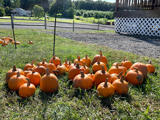 Westward Orchards