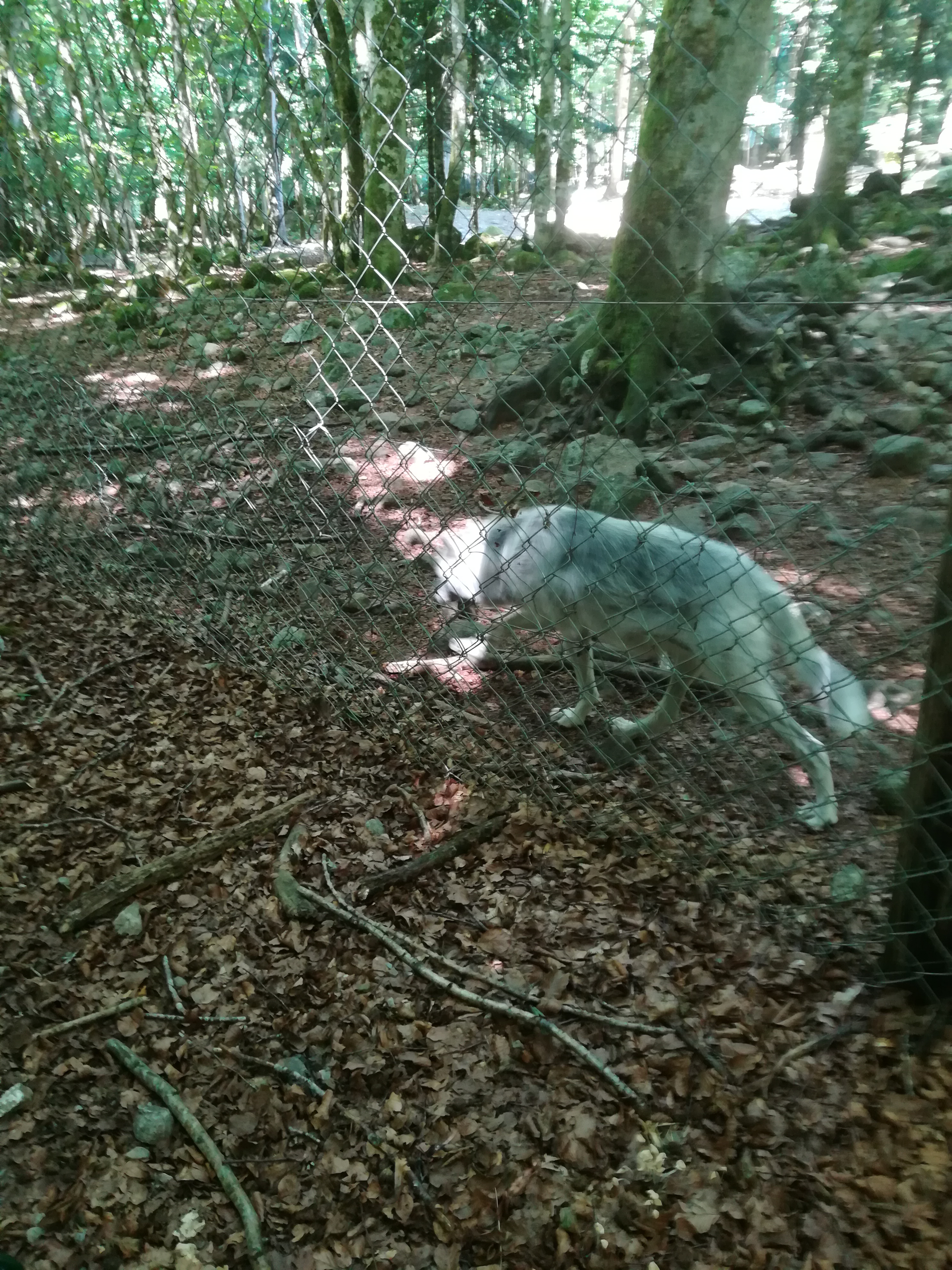 Photo n° 41 de l'avis de Audrey.� fait le 28/07/2017 à 17:11