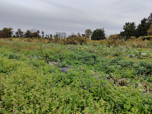 Produce Market «Race Farm», reviews and photos, 87 Belcher Rd, Blairstown, NJ 07825, USA