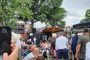 Rotterdam Bluegrass Festival image