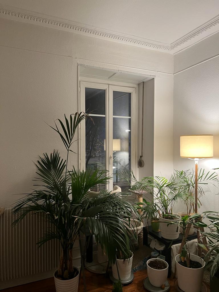 Photo n° 1 de l'avis de B..a fait le 19/12/2022 à 17:39