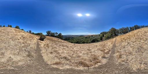 Park «Redwood Regional Park», reviews and photos, 7867 Redwood Road, Oakland, CA 94619, USA