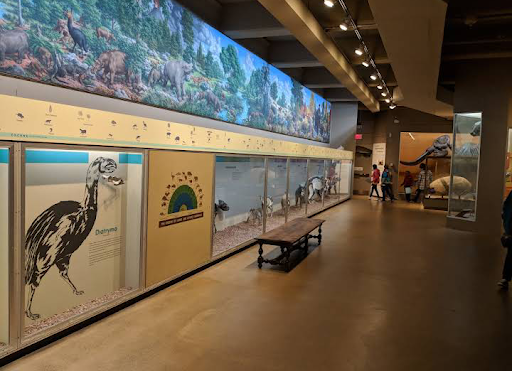 Natural History Museum «Yale Peabody Museum of Natural History», reviews and photos, 170 Whitney Ave, New Haven, CT 06511, USA