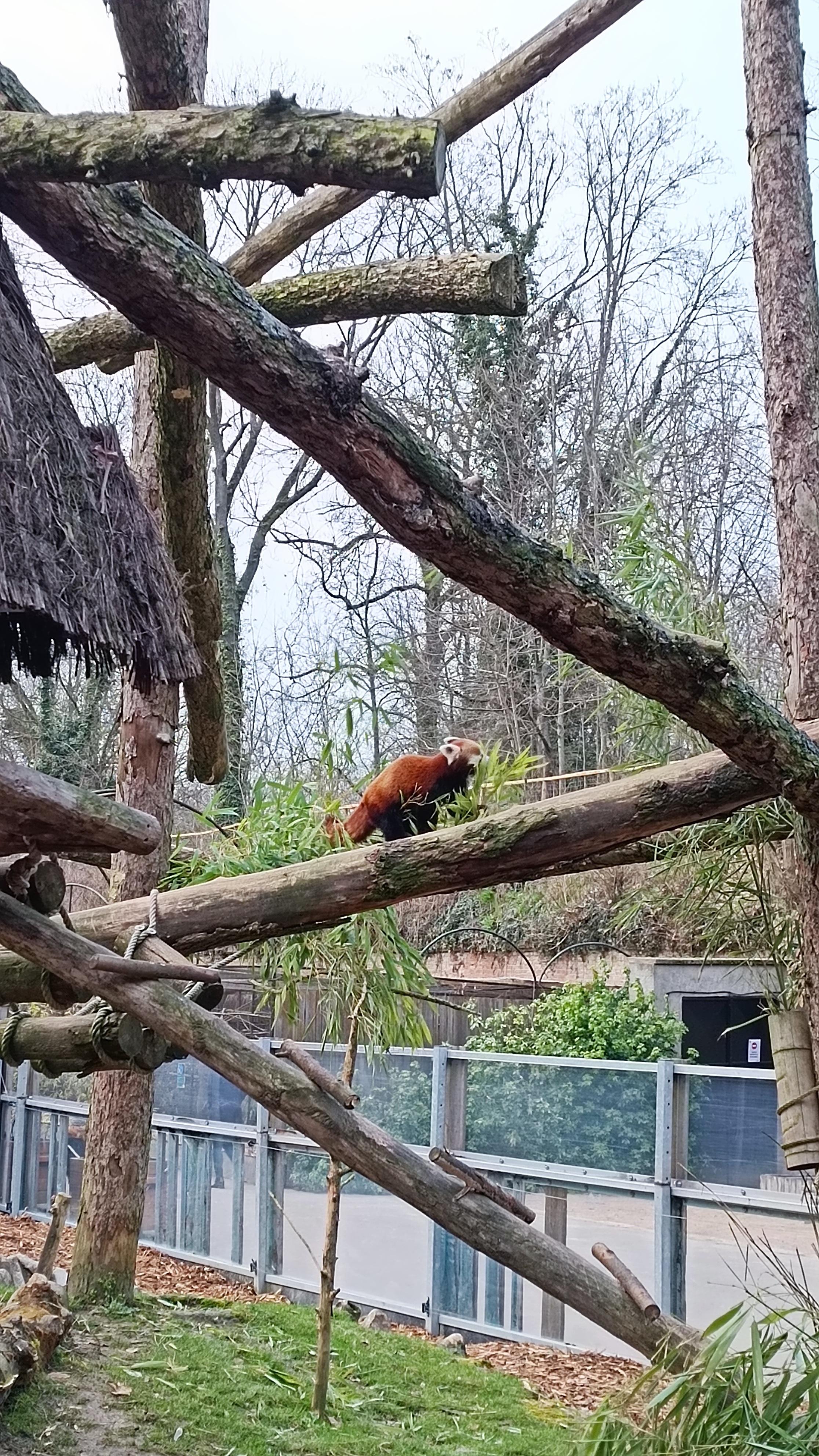 Photo n° 2 de l'avis de Mike.O fait le 25/02/2023 à 09:51