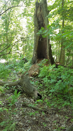 Nature Preserve «Sweet Arrow Reserve», reviews and photos, 789 Little Sugarcreek Rd, Sugarcreek Township, OH 45440, USA