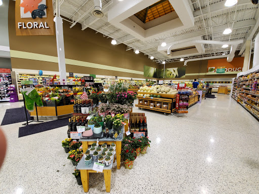 Publix Super Market at North Augusta Plaza