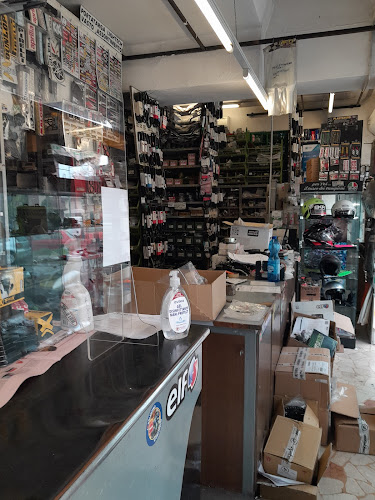 Salini Motoalesatura BS