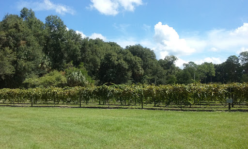 Winery «Log Cabin Winery», reviews and photos, 376 Co Rd 309, Satsuma, FL 32189, USA