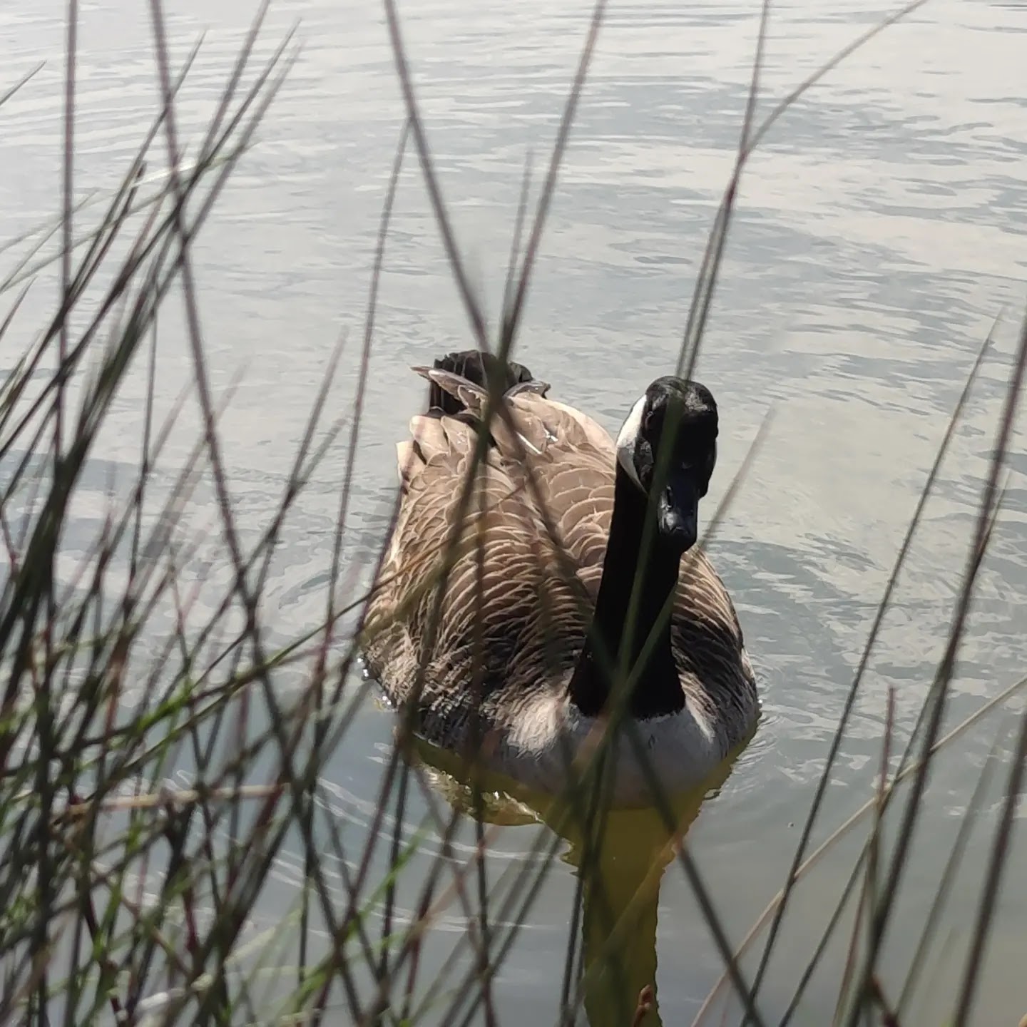 Photo n° 8 de l'avis de Javier.l fait le 20/03/2022 à 12:48