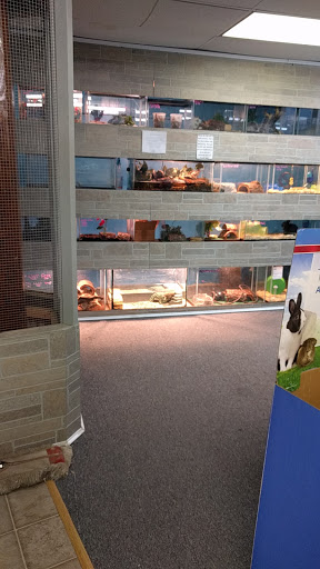 Pet Store «AquaVarium Pets And Supplies», reviews and photos, 95 W Bridge St, Catskill, NY 12414, USA